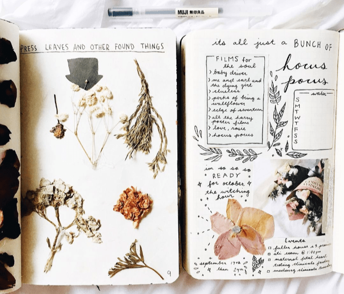 Como secar flores para decorar o bullet journal