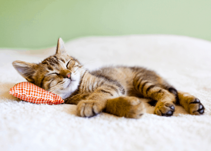Como aliviar o estresse_ 5 dicas práticas de relaxamento