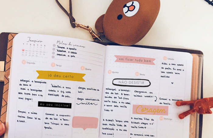 decorar o planner freebie para baixar