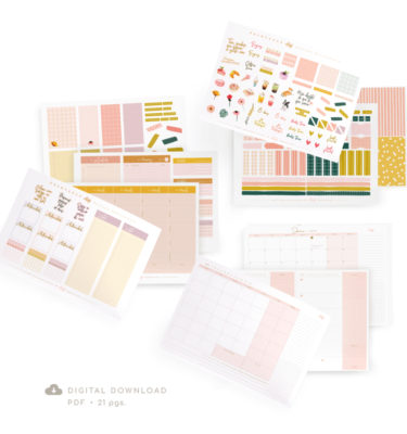 Kit com 3 printables A.Craft - Planejar, decorar e anotar - Coleções Délicatesse
